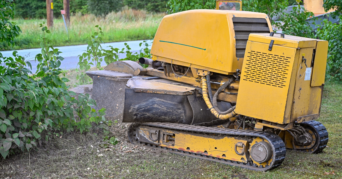 Unleashing the Power of Stump Grinder Rentals: Your Ultimate Guide